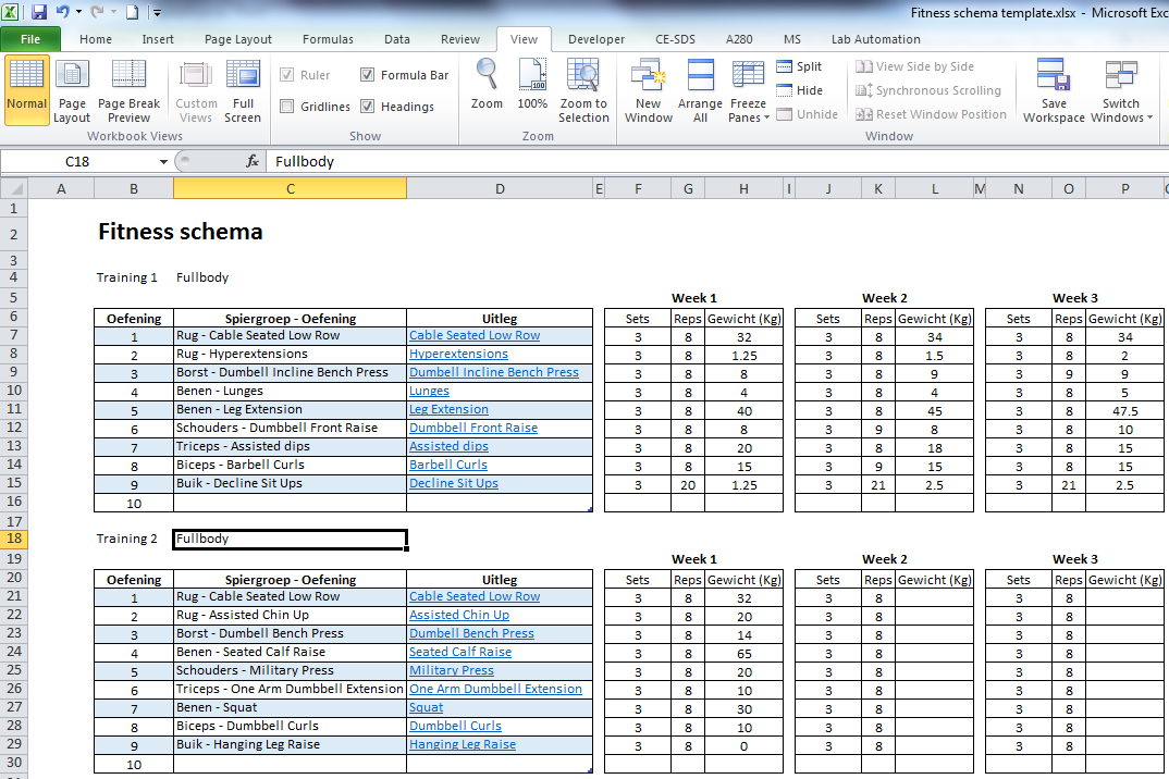 Verbazingwekkend Excel fitness schema template! – Gratis « Krachttraining UQ-12